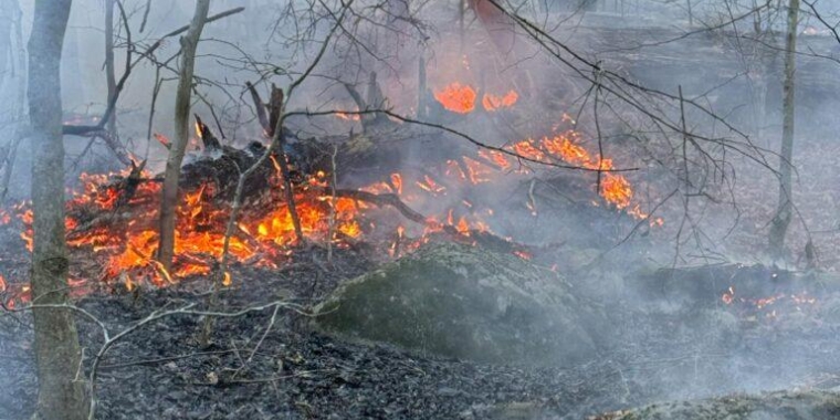 The Jennings Creek Fire in Greenwood Lake. (photo: PJFD Asst Chief Jeff Lewis)