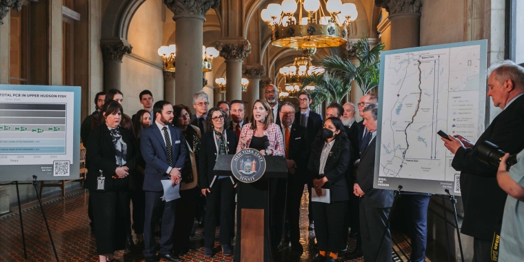 Senator Michelle Hinchey