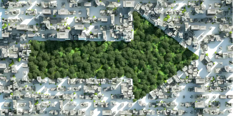 Credit: Getty Images, source, Times Union Green arrow of trees