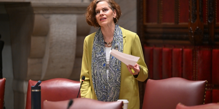 Senator Fahy speaks on the State Senate floor
