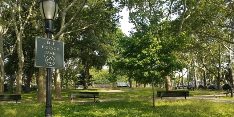 Senator Chan Team Engages in Park Cleanup With Intern Team