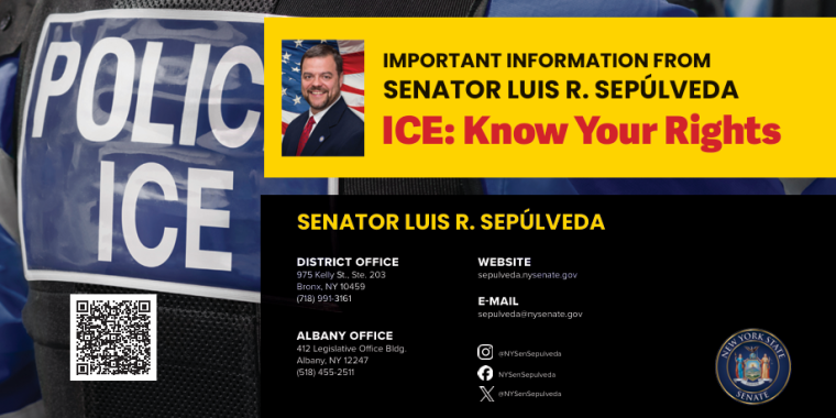 Know your rights graphic