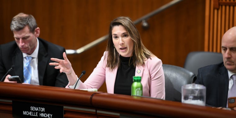 Senator Michelle Hinchey 