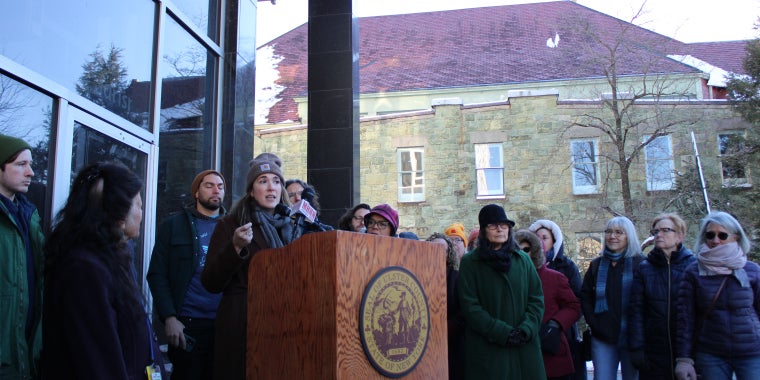 Senator Michelle Hinchey 