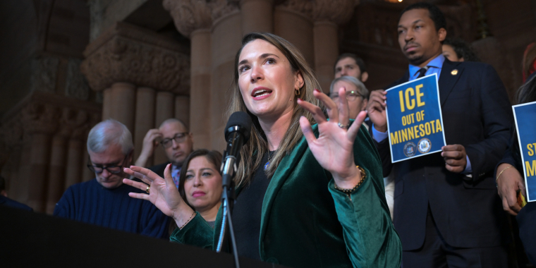 Senator Michelle Hinchey 