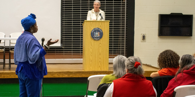 New York State Budget Town Hall
