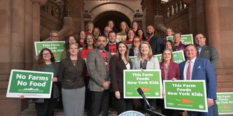 Senator Michelle Hinchey 