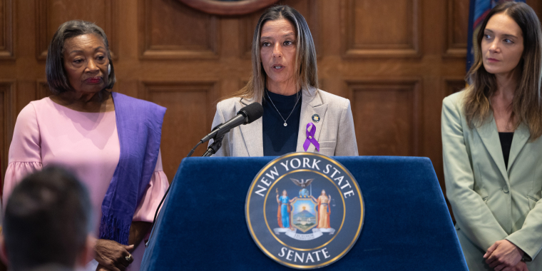 Members of the Senate Majority speak to the press about stronger domestic violence victim protections. 