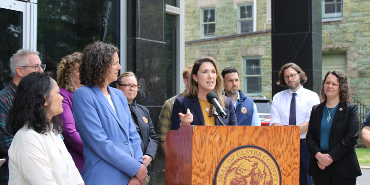 Senator Michelle Hinchey 