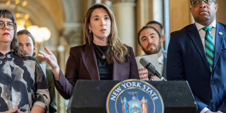 Senator Michelle Hinchey 