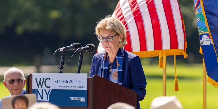 Senator Shelley mayer