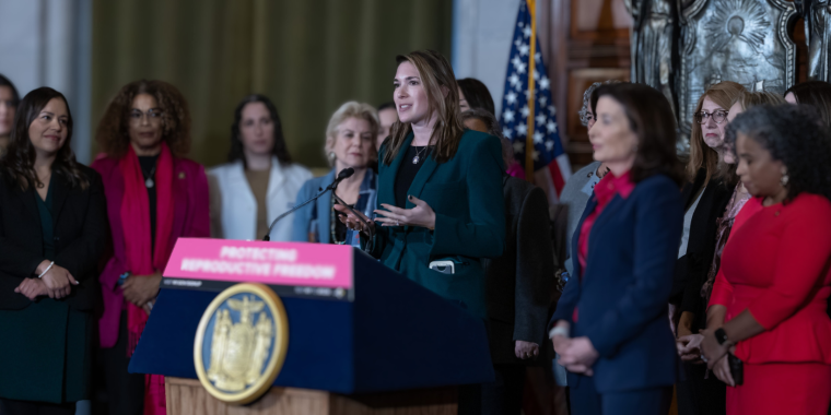Senator Michelle Hinchey 