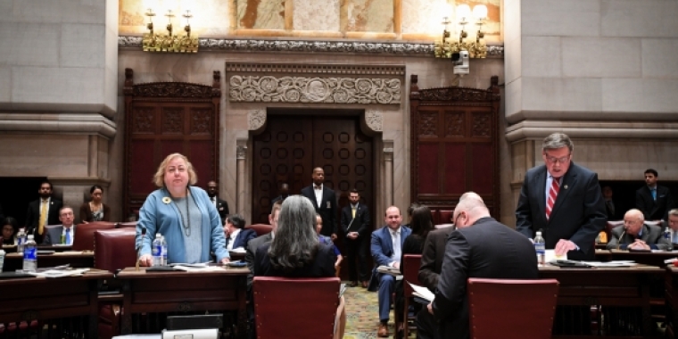 Senator Krueger debates the budget on the Senate floor