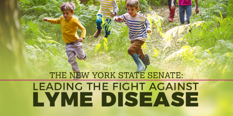 Senator Ranzenhofer is working to prevent, treat and research this serious public health issue.