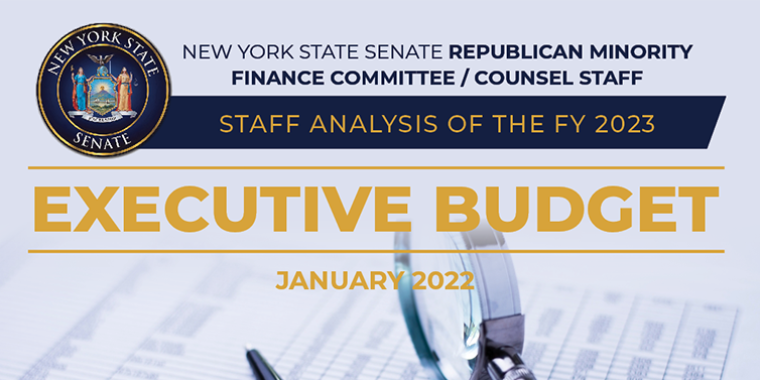Staff Analysis of the FY 2023 Executive Budget