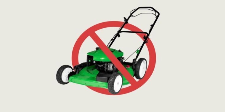 Senator O’Mara criticized legislation to ban the sale of gas-powered lawn mowers in New York State. Senator