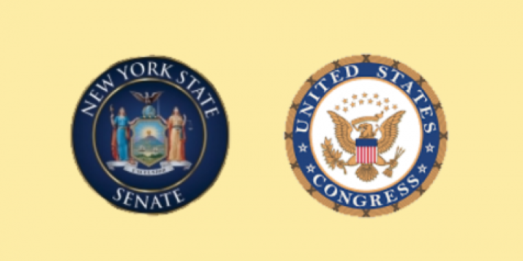NYS Senate and US Congress seals