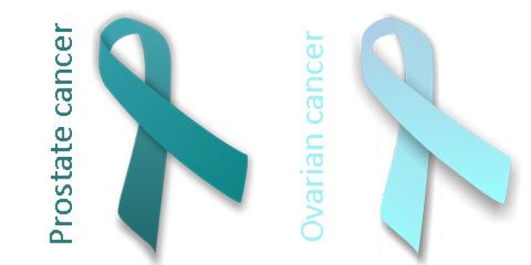 Raising Awareness of Ovarian and Prostate Cancer