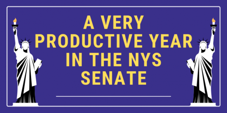 A Very Productive Year in the NYS Senate