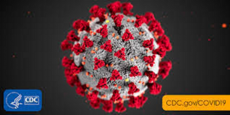 Coronavirus David