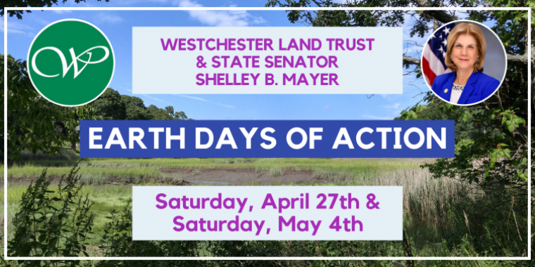 Earth Days of Action