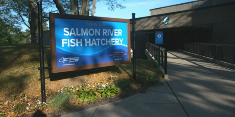 The Salmon River Fish Hatchery