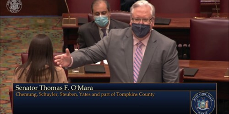 Senator O'Mara calls for ending Governor Cuomo's "government by executive order."