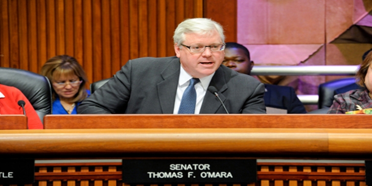 Senator O’Mara will serve on the Legislature’s joint budget conference subcommittee on Environment, Agriculture and Housing.