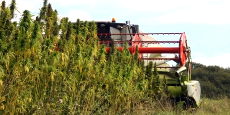 "These new laws have continued to strengthen the foundation we’ve built over the past several years to place New York State at the forefront of a new, potentially billion-dollar industry," said Senator O'Mara, a member of the Senate Agriculture Committee.
