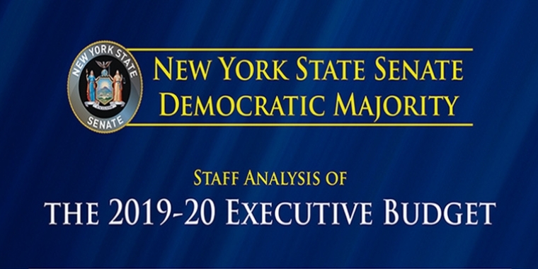 Staff Analysis of the 2019-20 Executive Budget