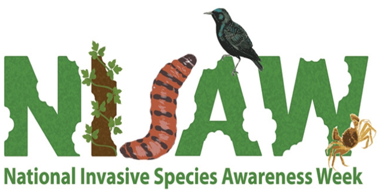 National Invasive Species Awareness Week is observed from February 25-March 3, 2019.