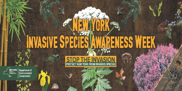 Invasive Species Awareness Week