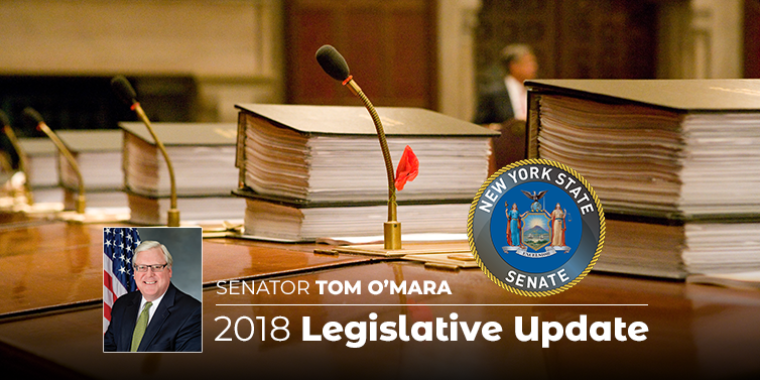 In his December 2018 "Legislative Update," Senator O'Mara looks ahead to the 2019 session of the New York State Legislature.