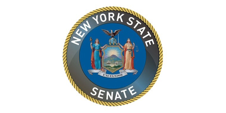 Image of NY Senate Seal.