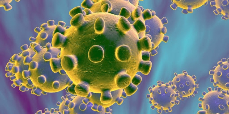 Microscopic image of the novel coronavirus