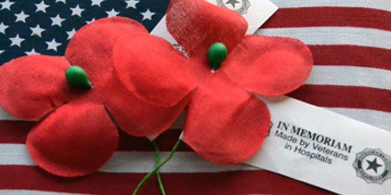 Buddy Poppy resting on American Flag 