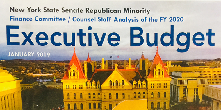 Staff Analysis of the FY 2020 Executive Budget - WhiteBook