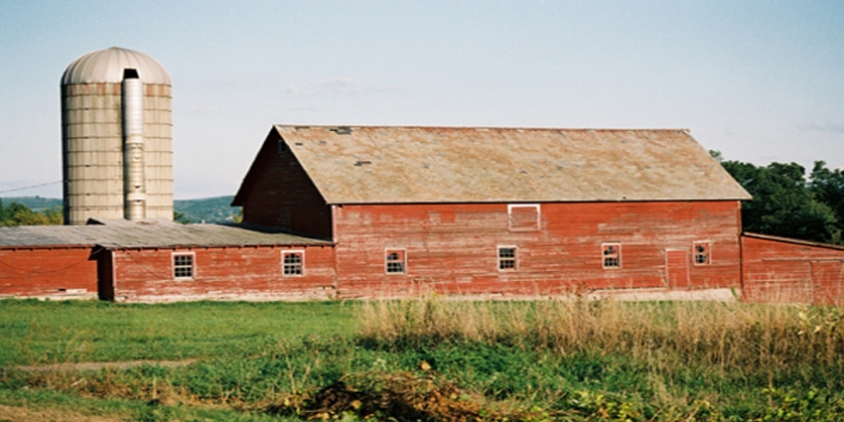 "We’re hopeful that the assistance being provided through the Southern Tier Agricultural Industry Enhancement Program will strengthen regional agriculture through new construction projects like barns, silos, greenhouses and processing facilities while, at the same time, encouraging environmental upgrades including irrigation and drainage,” said Senator O’Mara.