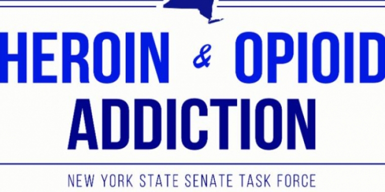Senator O'Mara was appointed to the Senate Task Force on Heroin and Opioid Addiction in 2014.