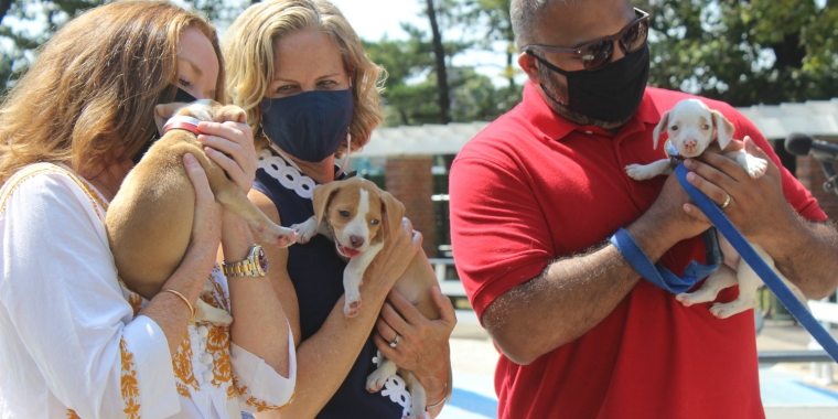 U.S. Congresswoman Kathleen Rice, Nassau County Executive Laura Curran and State Senator Kevin Thomas cradled three puppies that are up for adoption from the North Shore Animal League America. The elected officials were at the splash park in Eisenhower Park, where guests are invited to bring their dogs on Sept. 13.