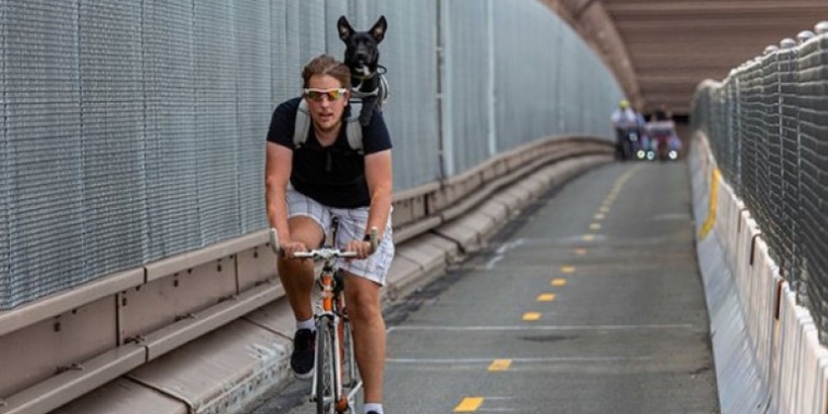 Two Wheels, Four Paws: A canine cyclist hitches a ride with his human companion.