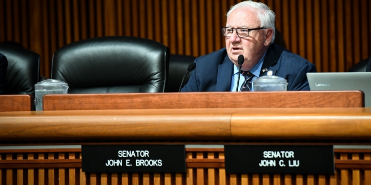 Senator Brooks at Senate hearing on possible alternatives for education funding