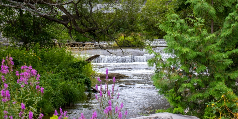 Chittenango Falls State Park