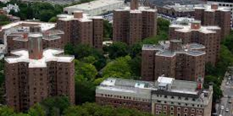 The Farragut Houses in Brooklyn, June 14, 2022.Ben Fractenberg/THE CITY