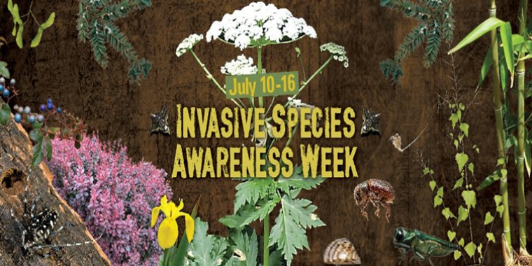 The 3rd Annual Invasive Species Awareness Week is being observed this week, July 10-16.