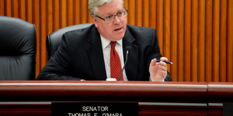 Senator O'Mara has been reappointed Chairman of the Senate Environmental Conservation Committee.