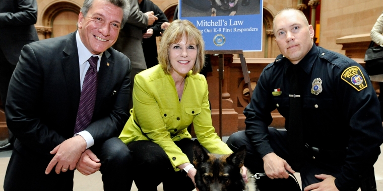 Senator Young introduced Mitchell's Law at 2017 press conference at the State Capitol. Senator Young is pictured here with K-9 Officer Mitchell, Assembly sponsor Assemblyman Matthew Titone (left) and Officer Erik Kraft, Mitchell's handler.
