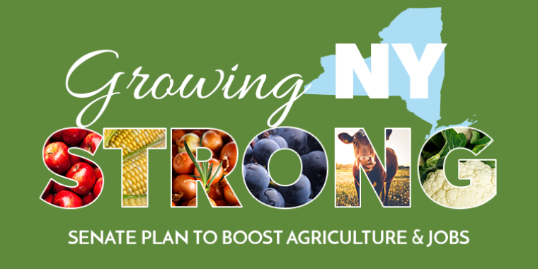 The “Growing Strong” plan will help strengthen agri-business and create new jobs in the agriculture industry by expanding markets, reducing production costs, and investing in the state’s leading industry.