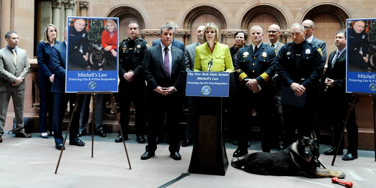 Surrounded by law enforcement representatives and animal advocates, Senator Young, Assemblyman Titone and K-9 Officer Mitchell announced bipartisan support for “Mitchell’s Law.,” increasing the penalty for injuring a police work dog or work horse to a class E felony.