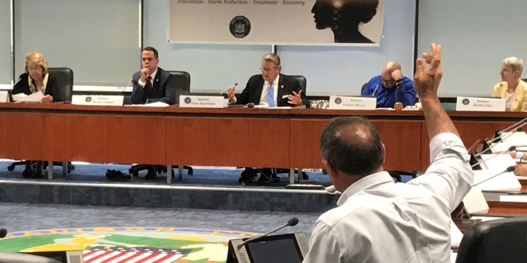 Second roundtable held by the NYS Senate Joint Task Force on Opioids, Addiction & Overdose in Wampsville, NY. L to R: Senator Betty Little; Co-Chairs of the Joint Task Force Senator David Carlucci, Senator Pete Harckham, Senator Gustavo Rivera; Senator Rachel May
